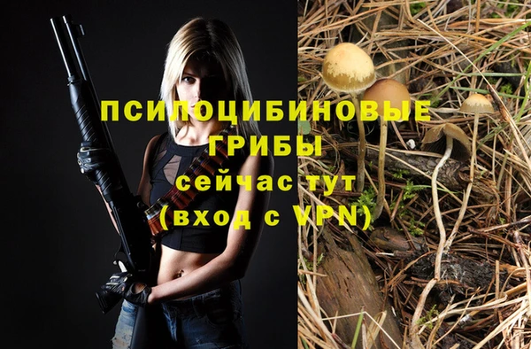 COCAINE Абаза