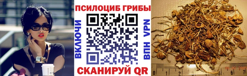 Галлюциногенные грибы мицелий  нарко площадка какой сайт  Агрыз 